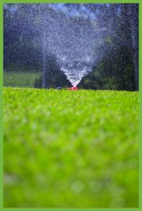 lawn-tips