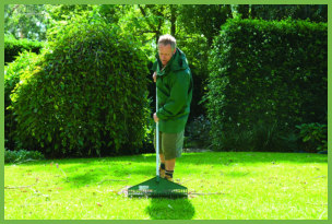 lawn care after flooding