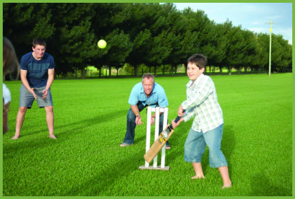 Cricket On The Lawn