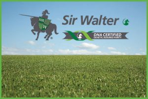 Sir Walter DNA Certified
