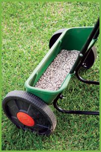 Lawn Fertiliser