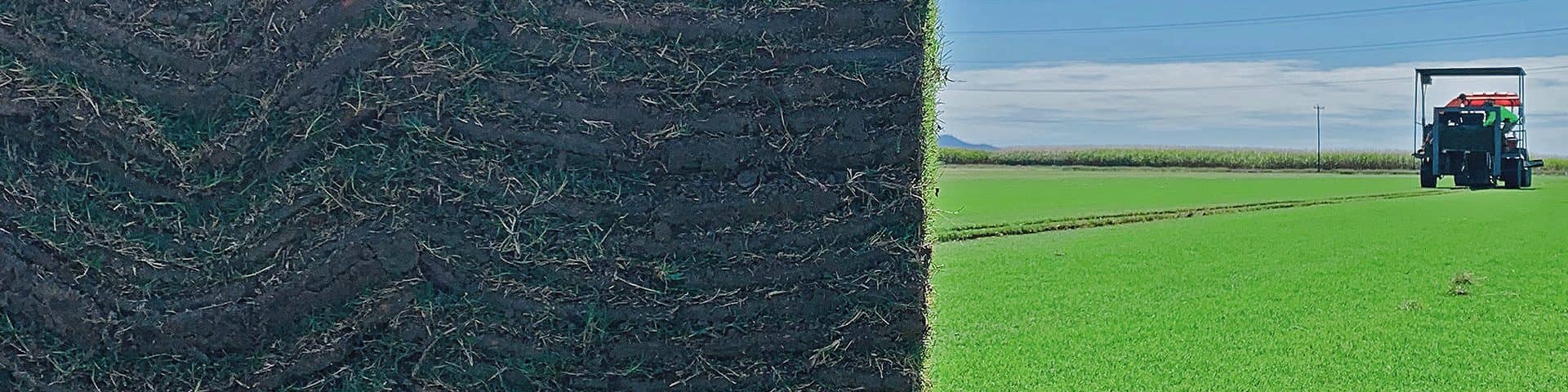 This is a the main heading