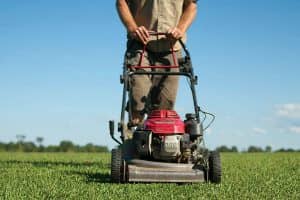 Lawn Turf Care Cairns