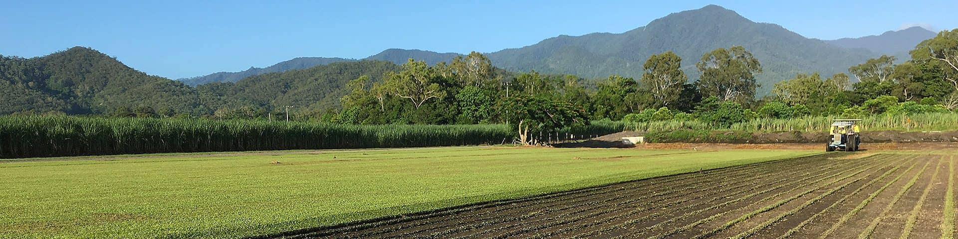 WE GROW + SUPPLY THE BEST TURF FOR <span>NORTH QUEENSLAND</span>